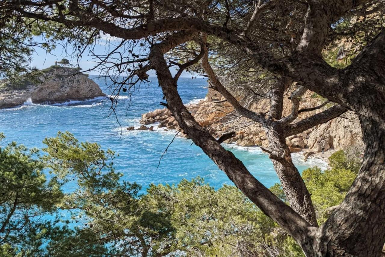 Tranquil 1 Bedroom Close To The Beach With Terrace - Dodo Et Tartine Carry-le-Rouet Kültér fotó